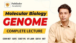 Genome | Molecular biology | Pranav Kumar | CSIR NET | GATE | DBT | ICMR | IIT JAM