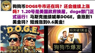 狗狗币DOGE牛市还在吗？还会继续上涨吗？1.20号是美国政府换届，doge部门正式运行！马斯克继续喊单DOGE，会涨到1美金吗？短线涨到0.6美金#DOGE币#马斯克狗狗币#DOGE行情分析!