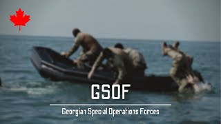 Georgian Special Operations Forces Divers | სპეციალური ოპერაციების ძალების მყვინთავები