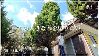 【お庭DIY】#81 庭の大木を自分で伐採する。ために、まずはお片付けしますね｜花壇｜ウィンドウボックス作り