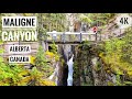 Amazing Maligne Canyon in Jasper National Park Alberta, Canada | 4K | Deepest Canyon in Rockies