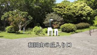 2012-05-13_本牧山頂公園新緑編(mp4)