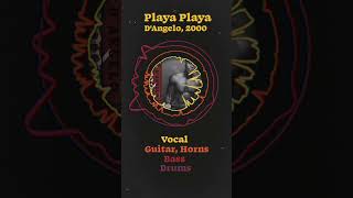 Visualizing Voodoo: Playa Playa #dangelo