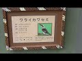 【埼玉県こども動物自然公園】 ヤシオウム ＆ ワライカワセミ ★2022.6.23★