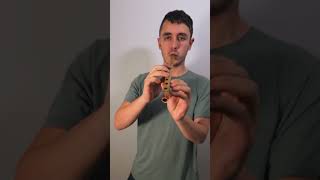 Indian Bamboo Flute (Sound Demo)