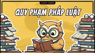 Những Thứ Bạn Cần Biết Về Quy Phạm Pháp Luật | Pháp Luật Đại Cương