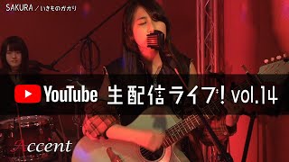 Accént - Live Stream on YouTube vol.14