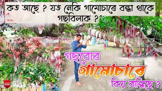 Gorokhiya Than Sorbhog Gorokhiya Gokhai Than / Gorokhiya Mondir Vlog video Assamese / Ranus Creator/