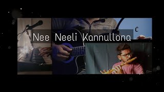 Nee Neeli Kannullona Cover Song | Guitar  Chords | Dear Comrade |