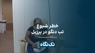 تک‌نگاه - خطر شیوع تب دنگو در برزیل