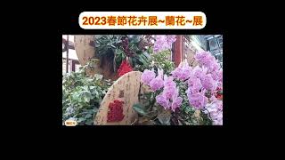 蘭花-2023士林官邸蘭花展