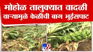 Solapur Breaking | सोलापुरच्या मोहोळ तालुक्यात वादळी वाऱ्यामुळे केळीची बाग भुईसपाट : tv9 Marathi