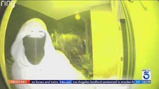 Homeowners say L.A. too lenient on crime after safe stolen during home break-in