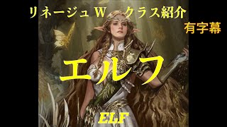 【天堂W】エルフ ELF【リネージュW】【Lineage W】리니지W