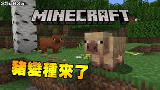 Minecraft更新速報 - 豬也有變體了!!!【25w02a】葉子有落葉了!!!!