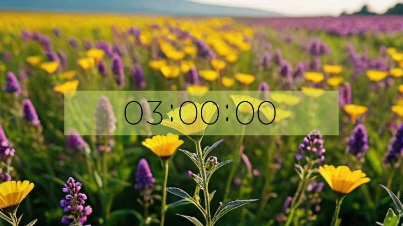 3 Minute Countdown Timer Spring Flowers Easter Youtube