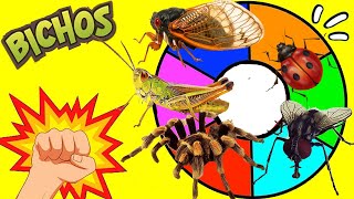 RULETA SORPRESA de BICHOS E INSECTOS INVERTEBRADOS | Los Insectos aterradores |