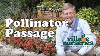 Village Nurseries - Pollinator Passage