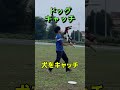 世界大会まで8日⁡ 犬 ドッグスポーツ ディスクドッグ