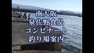 【釣り場案内】南大阪　車横付け可能　泉佐野食品コンビナート