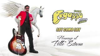 Grupo Pegasso - Soy Como Soy (Audio Oficial)