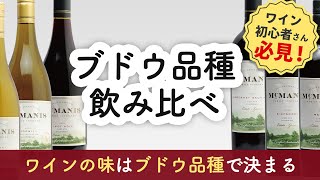 あなたもやってみて！ブドウ品種を知って自分の好みを知ろう【ワイン初心者】