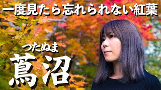 【質問コーナー付】青森で有名な十和田湖\u0026蔦沼の紅葉一緒に見よ？【デート】