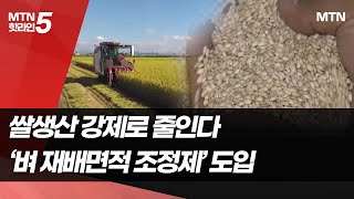 벼 재배면적 사상 첫 '강제 감축' / 머니투데이방송 (뉴스)