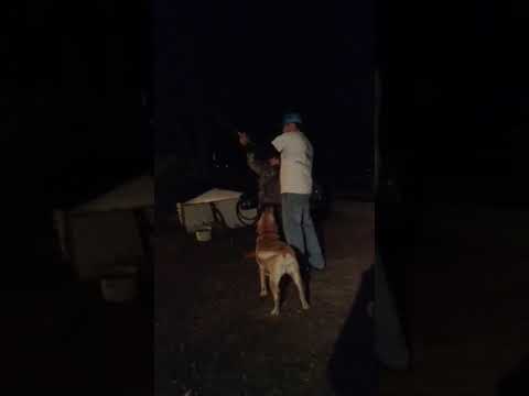 Funny shootgun fail... First timer... Funny shootgun fail... First timer...