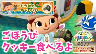 【ポケ森】もう秋カナ チャレンジ！ごほうびクッキーも食べるよ♪【どうぶつの森ポケットキャンプ】#677 無課金