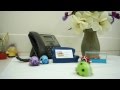 Flip n' Spin Ladybug Wind Up | Office Playground