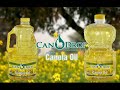 candrop canola oil