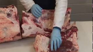 Davey Griffin - Food From Livestock - Meat \u0026 Meat Products - Hindquarter Cuts