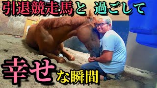 大きな顔が近くに…そして暖かい…。引退競走馬がもっと好きになる瞬間がコチラです。【ツルマルボーイ様のシモベ】