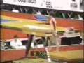 Daniela Silivas 1988 DTB Cup Vault All-Around