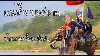 ประเพณีแห่ช้าง บวชนาค ชาวไทยพวน บ้านหาดเสี้ยวหนึ่งเดียวของไทย