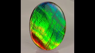 Ammolite AA Quality 56.68 Carats