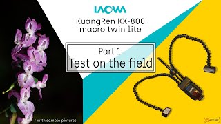 LAOWA KuangRen Twin Lite KX-800 Macro Flash TEST and review - English