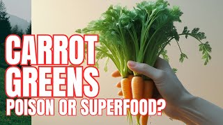 CARROT GREEN BENEFITS