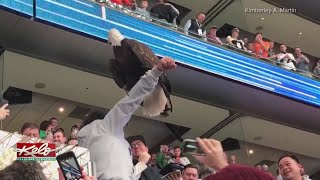 Eagle Takes Different Route During Anthem Performance