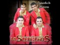 COSTUMBRE DE HUMANOS LOS CEDREÑOS.wmv