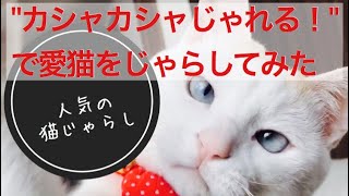 【猫おもちゃレビュー】『カシャカシャじゃれる！』で遊ぶ。