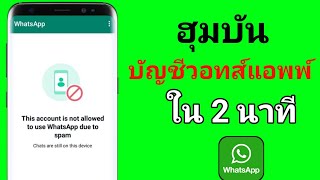 บัญชีนี้ไม่ได้รับอนุญาตให้ใช้ WhatsApp เนื่องจากโซลูชันสแปม - โซลูชันที่ถูกแบนบัญชี Whatsapp