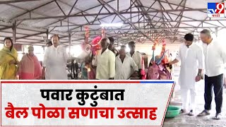 Ajit Pawar यांनी काटेवाडीत कुटुबियांसह बैलपोळ्याचा सण साजरा केला-tv9