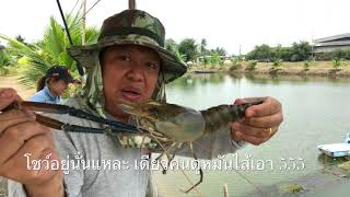 กุ้งบ่อดินตกยังไง !!! //HD// จุ๊จุ๊ ออนทัวร์ EP:288