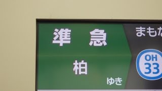 激レア!! E233系2000番台の小田急線 準急柏行き 本厚木始発