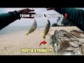 Surfcasting pantai | Pesta strike bertubi tubi mancing di awal pagi‼️