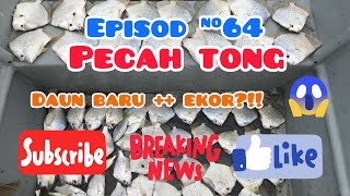 Episod #64 Trip terkejut | Teluk Kabong | Gasak Strike