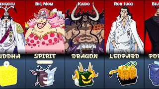 All One Piece Devil Fruits In Blox Fruits [Physical Form]