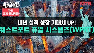 [THE 크게 될 녀석들] 내년 실적 성장 기대치 UP! '웨스트포트 퓨얼 시스템즈(WPRT)' / 머니투데이방송 (증시, 증권)